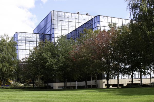 Cost of Commercial Tree Trimming in Melbourne