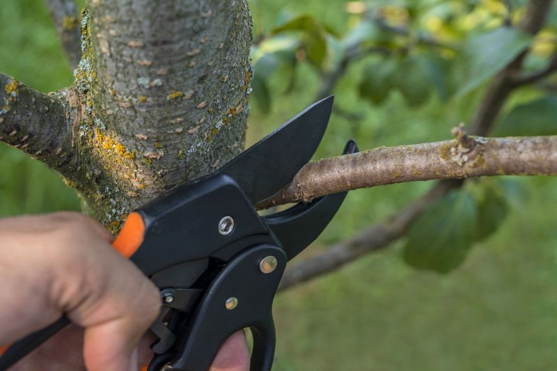 Expert Pruning Techniques